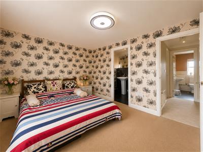 Picture 8